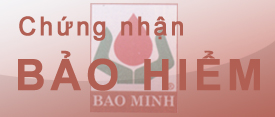 Bao Hiem